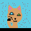 a boy vertion of the board cat