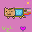 my cat