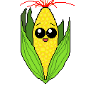 mazorca