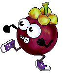 mangostino corredor