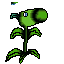 peashooter shoot