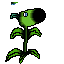peashooter