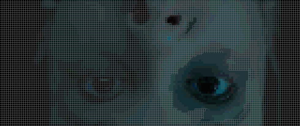 the whole left eye is done