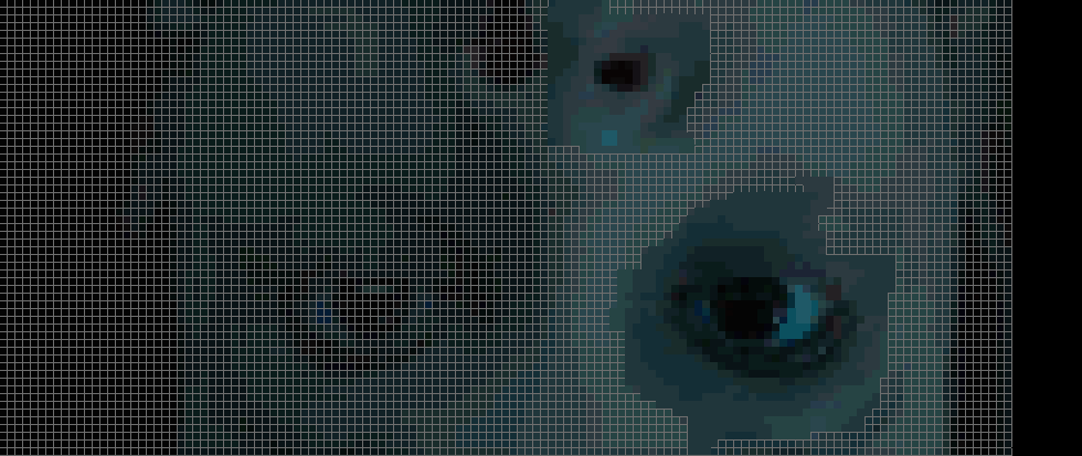 half of nose