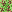 grass_50