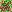 grass_25