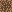 grass_0