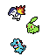 johto starters