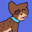 cat thing