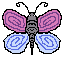the first butterfly