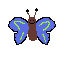 butterfly