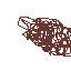 duck2