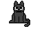 bigger kitty cat
