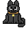 collar on kitty