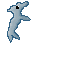 porpoise dude