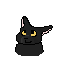 kitty cat