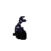 black pumpkin