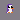 grape pengu