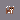 fox dog cat
