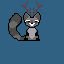 coon
