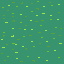 grass1