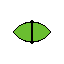 reptile