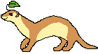 ferret2