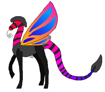 moth