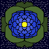galaxy lily