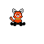 red panda