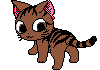 kitty
