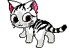kitten