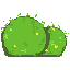 bush