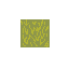 dead grass
