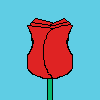 rose