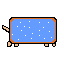 bill nyan cat