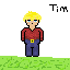 tim