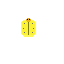 d m u lightning beetle