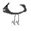 d m u sharaptor