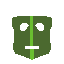 the mask