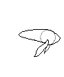 betta base