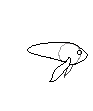 betta base 2 improved