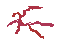 blood worms
