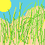 prairie