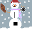 snow sport