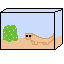lizard box