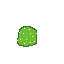 mini cacti