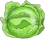 leticia lechuga