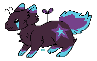 shooting star pixxim