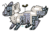 city